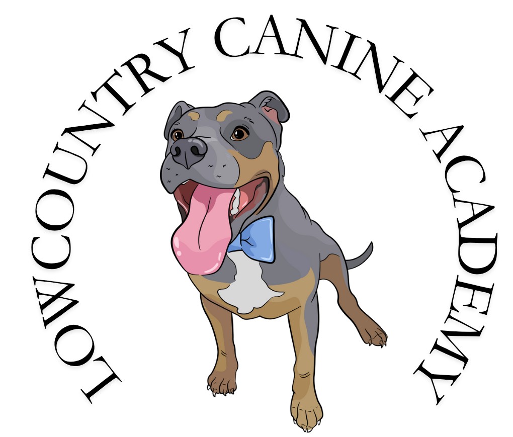 Lowcountry Canine Academy; image of staffordshire terrier with blue bow